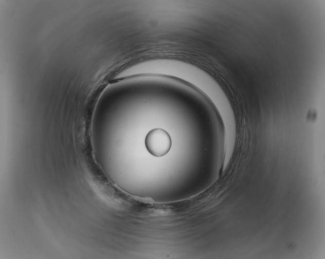 X0000112510552200908241422