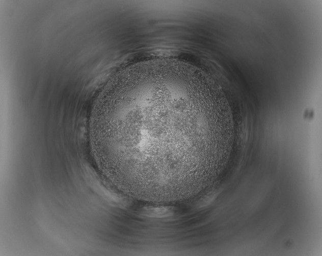 X0000112510553200908241422