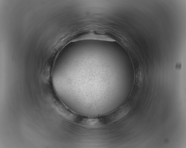 X0000112510554200908241422