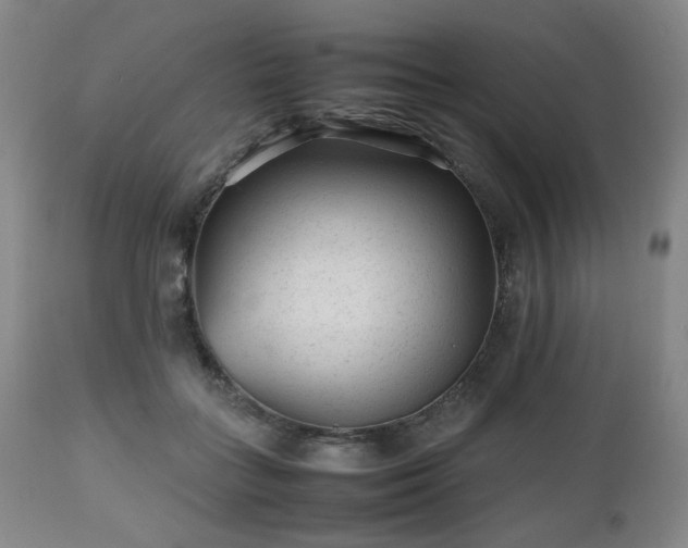 X0000112510555200908241422