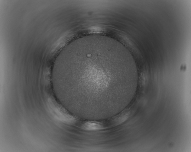 X0000112510557200908241422