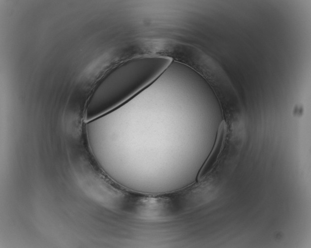 X0000112510558200908241422