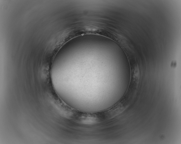 X0000112510559200908241422