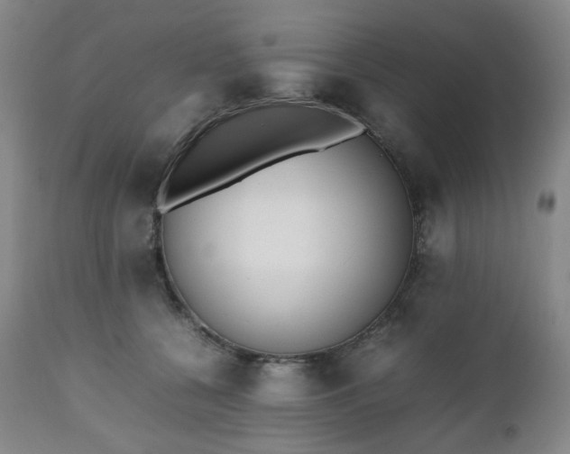 X0000112510560200908241422