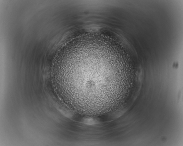 X0000112510561200908241422