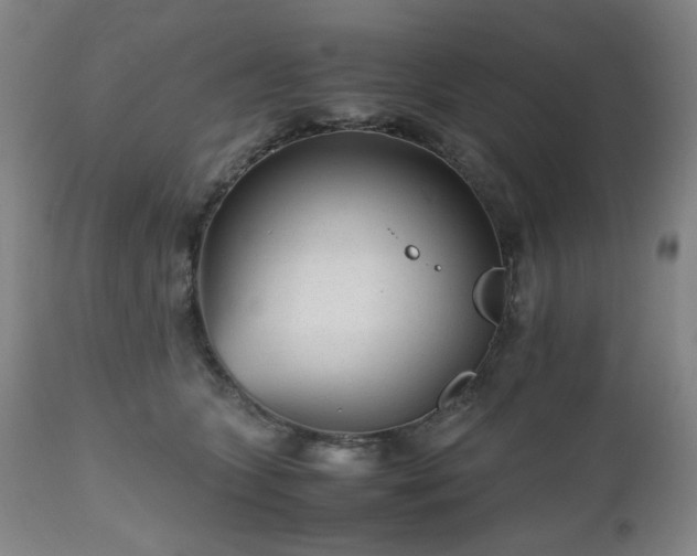 X0000112510563200908241422