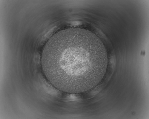 X0000112510565200908241422