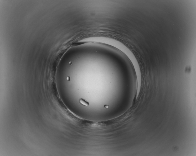 X0000112510566200908241422