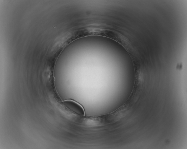 X0000112510567200908241422