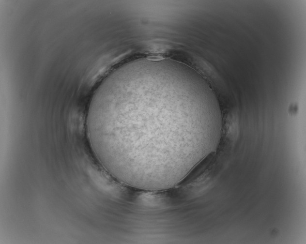 X0000112510568200908241422