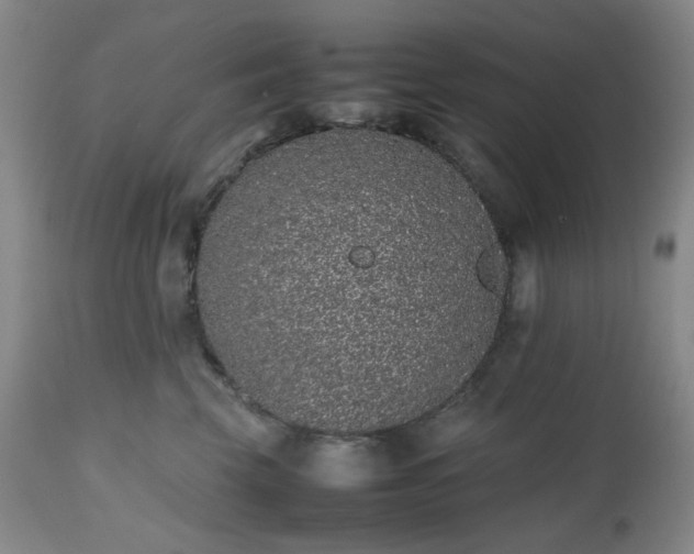 X0000112510569200908241423