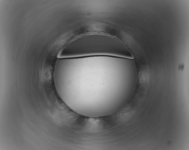 X0000112510570200908241423