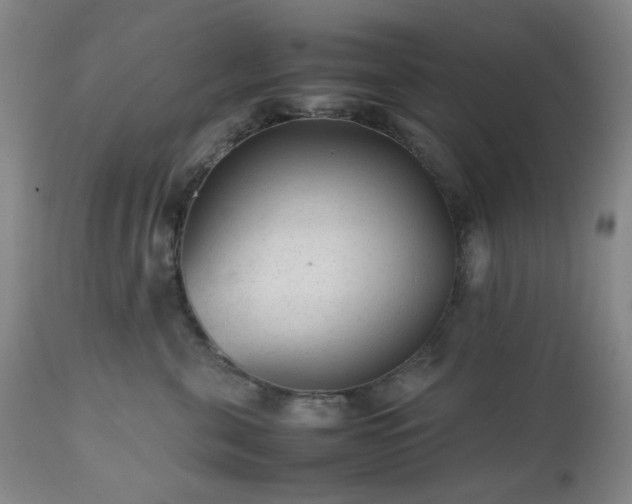 X0000112510571200908241423