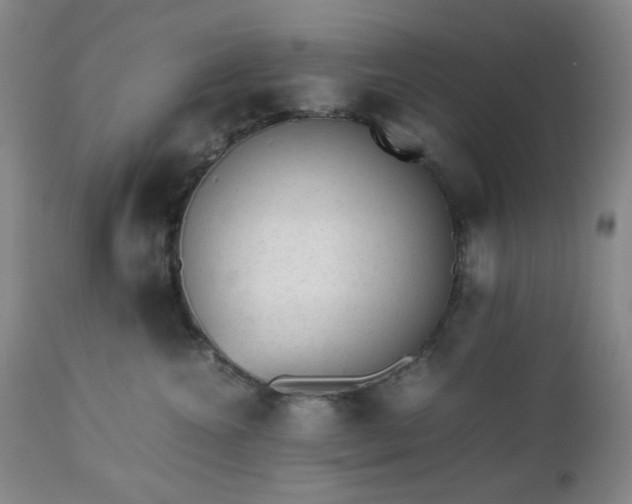 X0000112510572200908241423