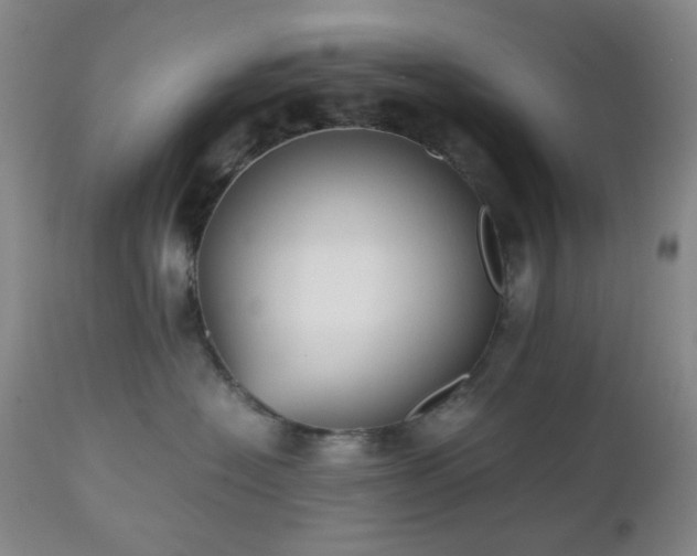 X0000112510574200908241423