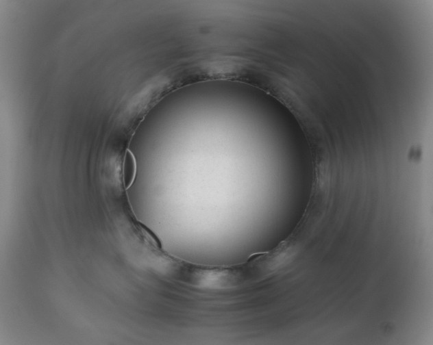 X0000112510575200908241423