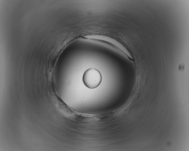 X0000112510576200908241423