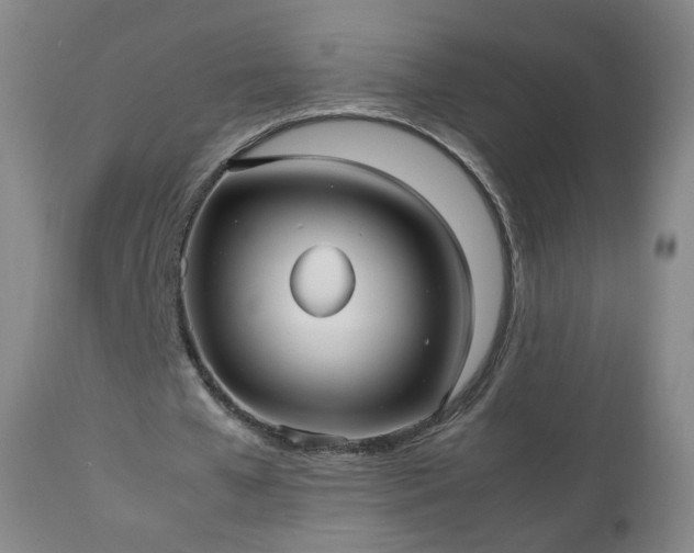 X0000112510577200908241422