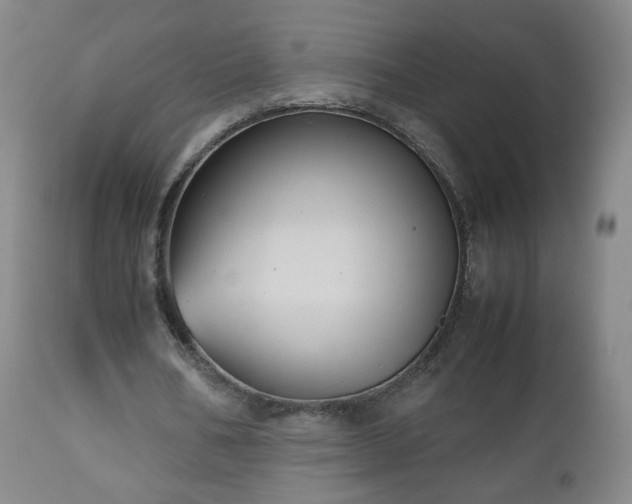 X0000112510578200908241422