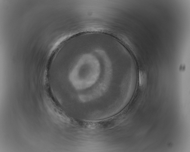 X0000112510579200908241422