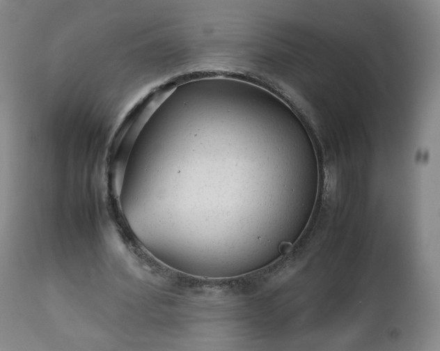 X0000112510580200908241422