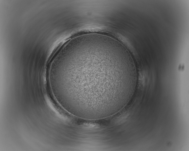 X0000112510582200908241422