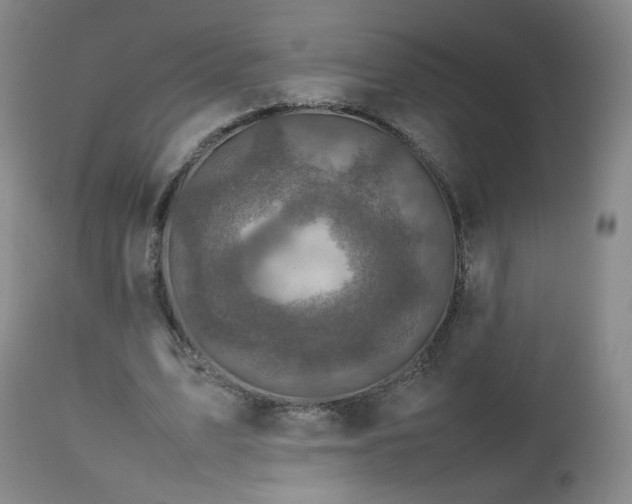 X0000112510583200908241422