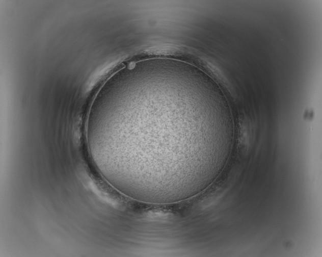 X0000112510586200908241422