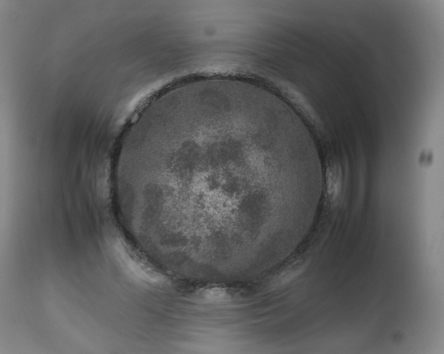 X0000112510588200908241422