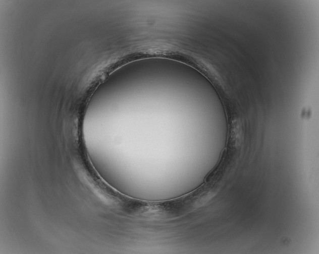 X0000112510589200908241422