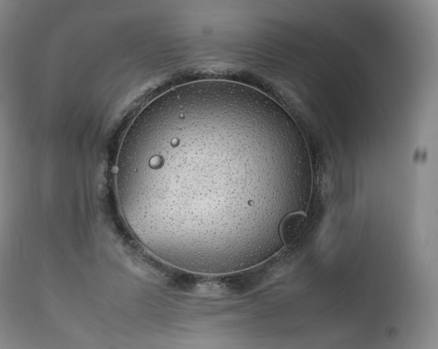 X0000112510591200908241422