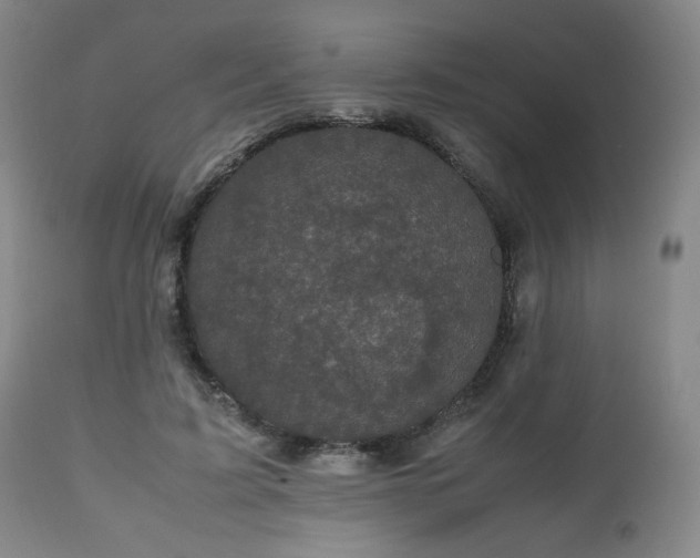 X0000112510595200908241422