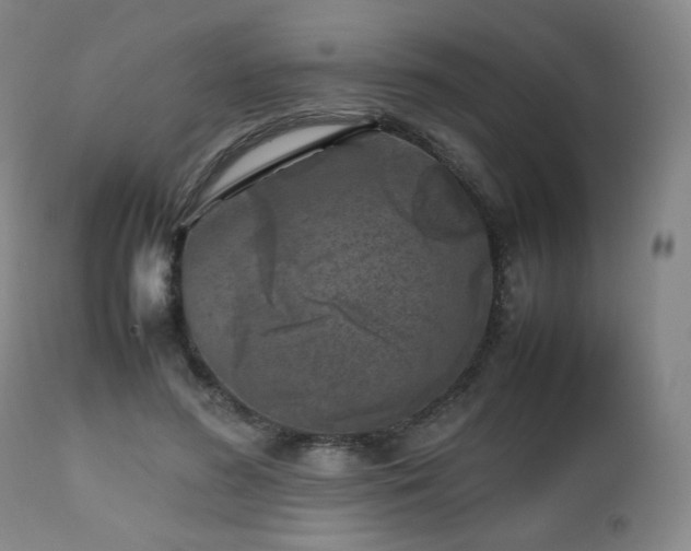 X0000112510596200908241422