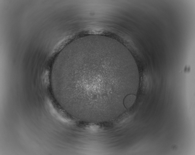 X0000112510598200908241421