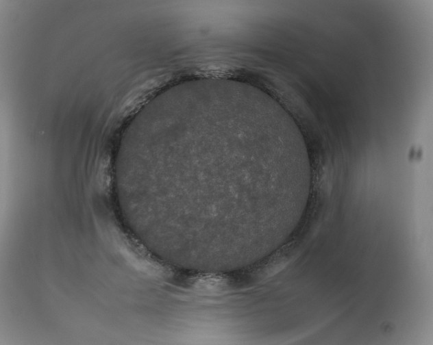 X0000112510599200908241421