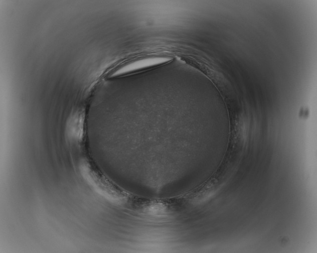 X0000112510600200908241421