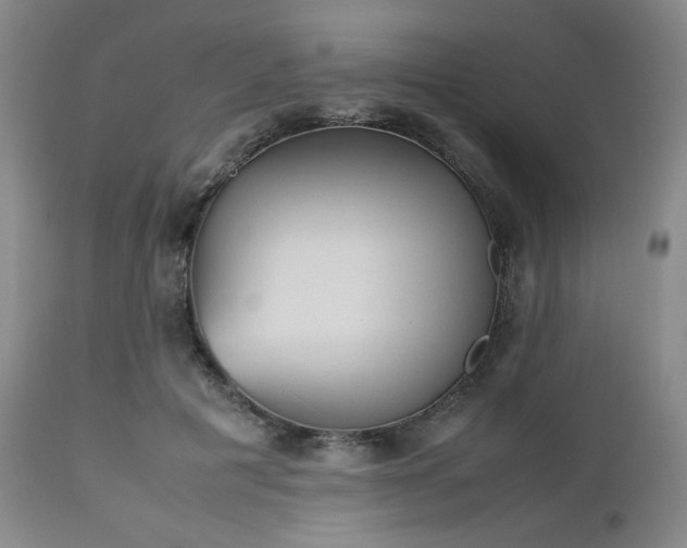 X0000112510601200908241421