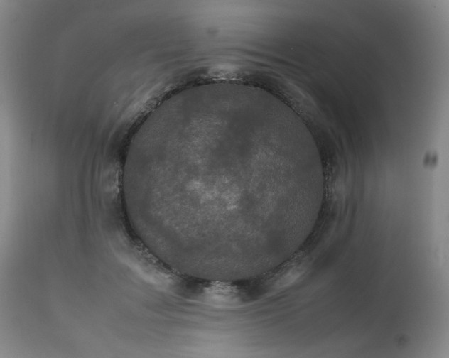 X0000112510603200908241421