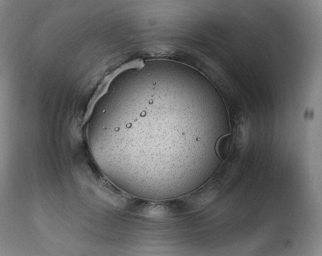 X0000112510604200908241421