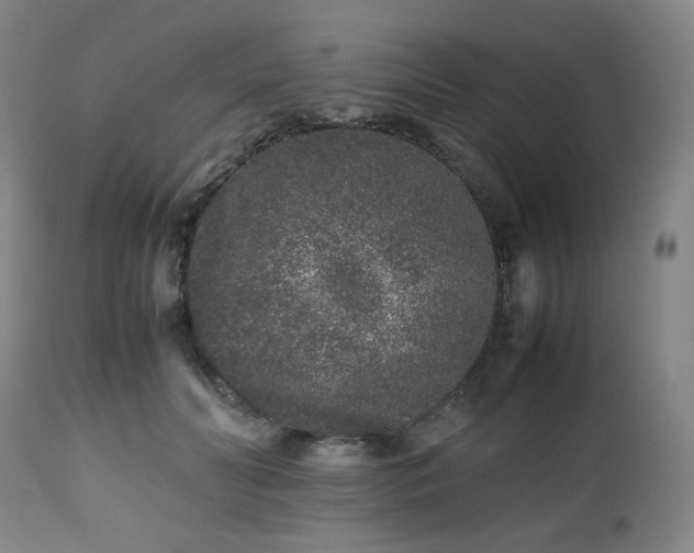 X0000112510606200908241421