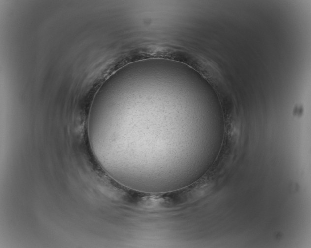 X0000112510607200908241421