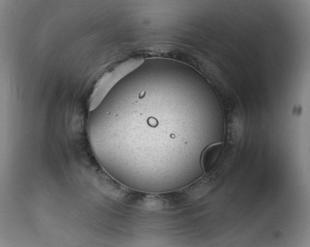 X0000112510608200908241421