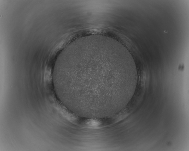 X0000112510610200908241421