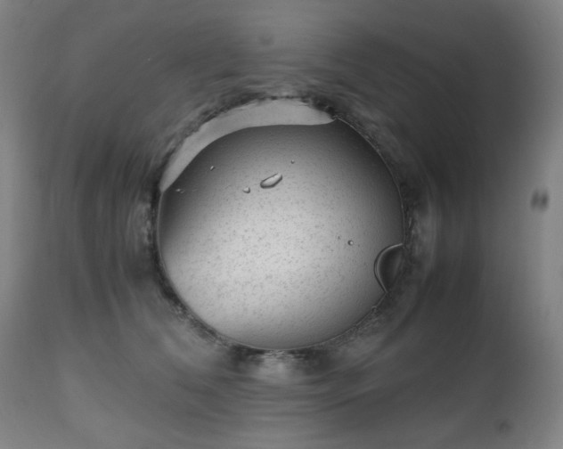 X0000112510612200908241421