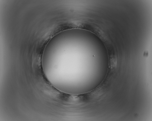 X0000112510613200908241421