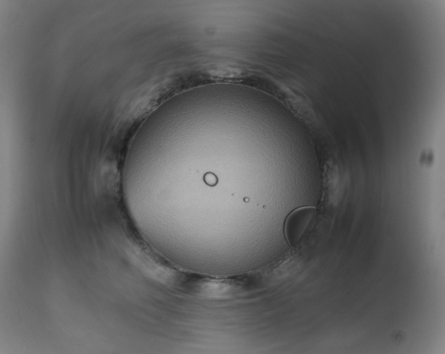 X0000112510614200908241421