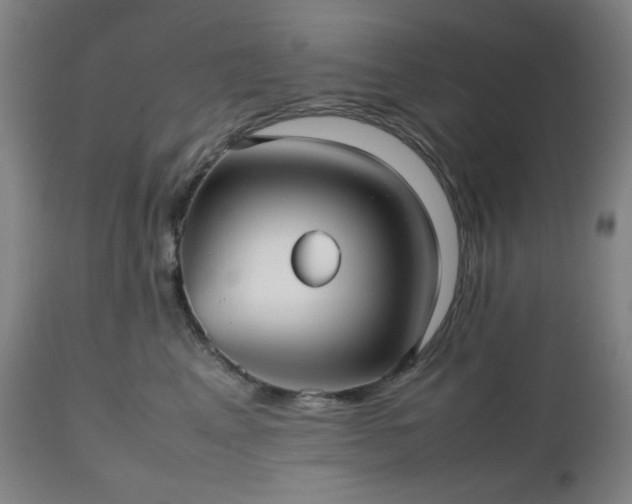 X0000112510617200908241421