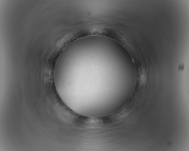 X0000112510619200908241421