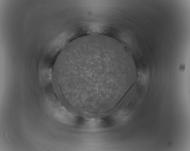 X0000112510621200908241421