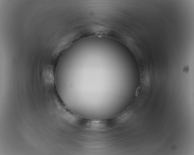 X0000112510622200908241421